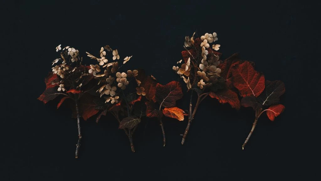 Composition signature de la saison Automne-Hiver 2025